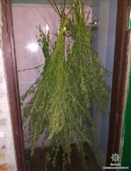 22046055_1288213397992013_8706301084105488106_n