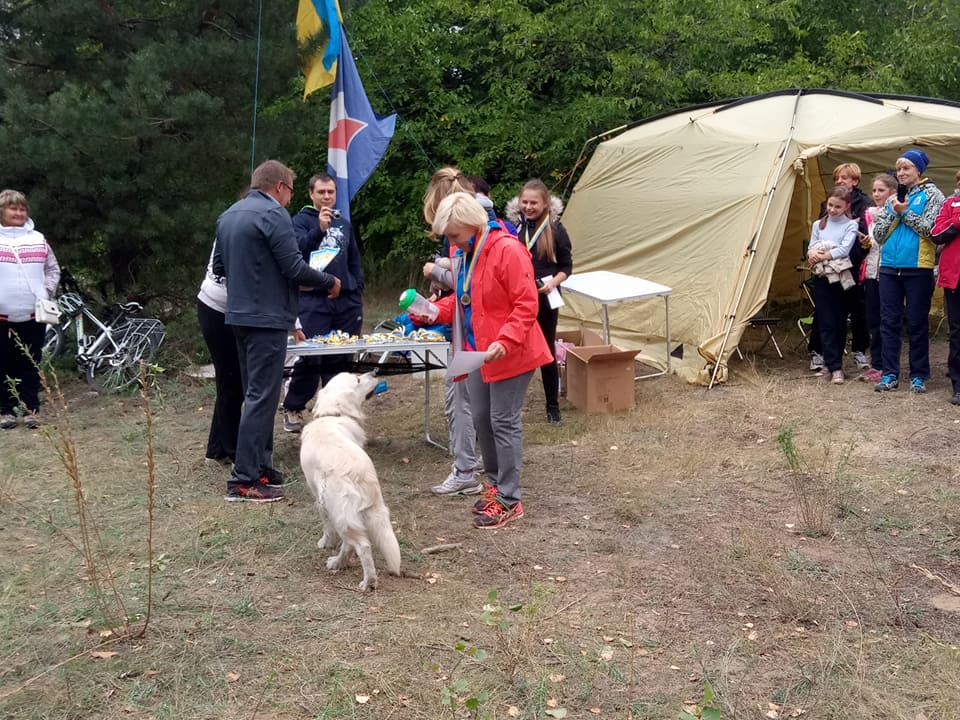 22195467_1551429948254706_8202278870850668818_n