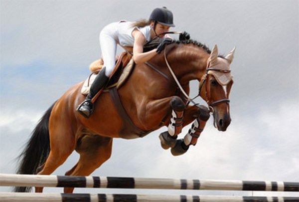 Запорожцев приглашают посетить чемпионат по конному спорту