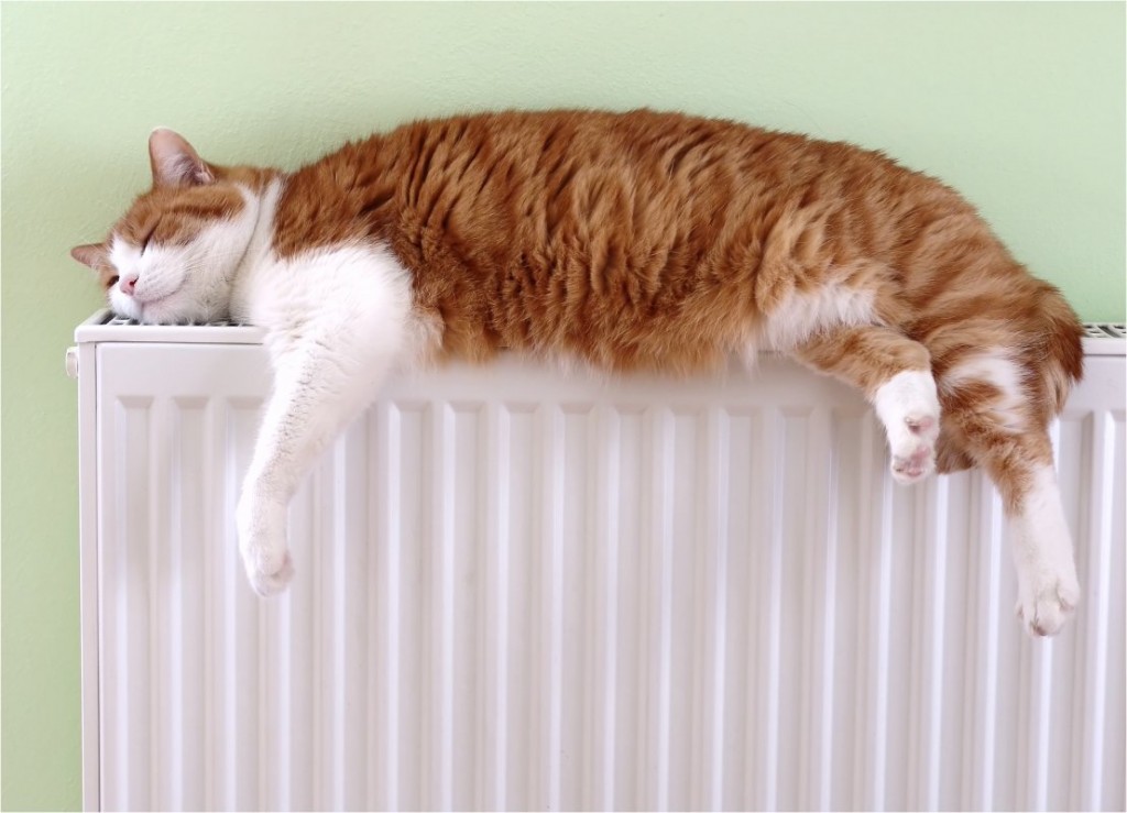Отопление в Запорожье: у кого тепло и как узнать, когда запустят в вашем доме