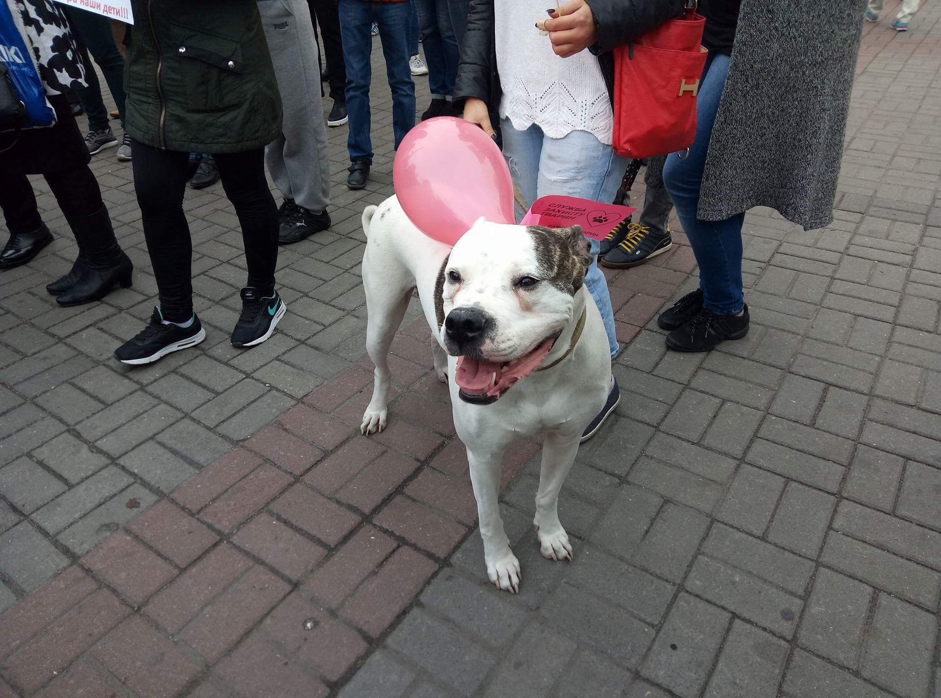 received_325191764558516