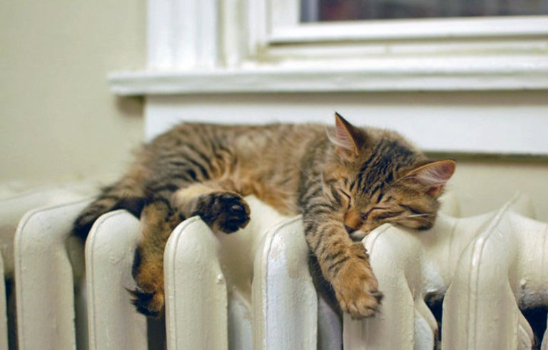 1390501317_2064104672