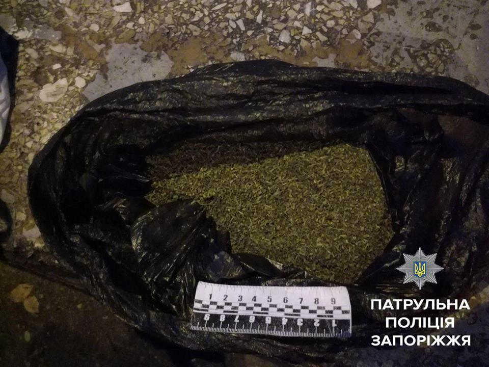 23795043_1500338536710919_8532675500340627518_n