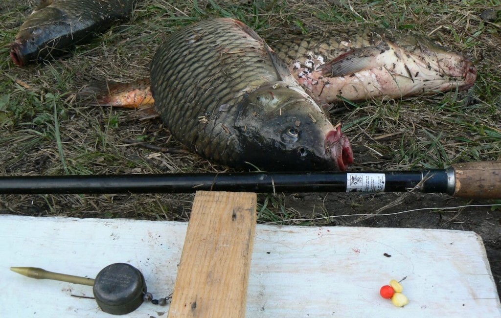 Запорожский рыбоохранный патруль выявил более 100 нарушений лова на зимовальных ямах