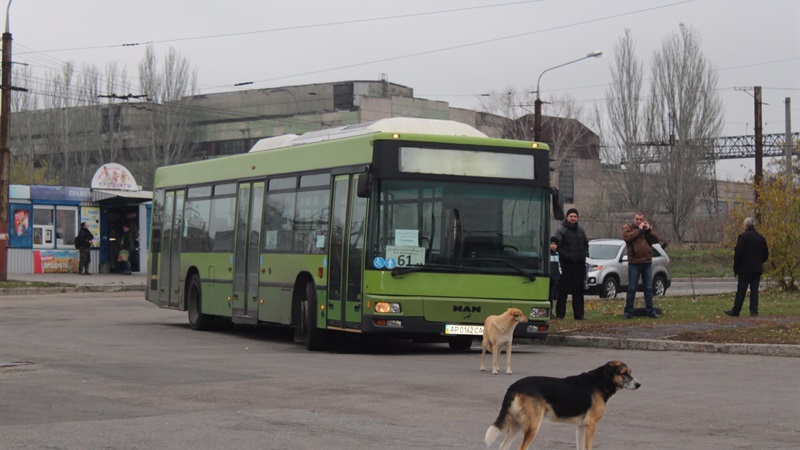 В Запорожской мэрии увидели улучшение в решении транспортной проблемы