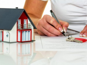 Стало известно, сколько запорожцы заплатили налога на недвижимость