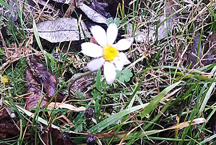 25353964_1606684212702108_1263388955048277223_n