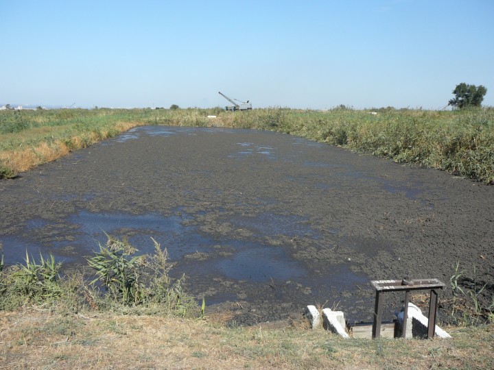 P1200319-e1474024361504