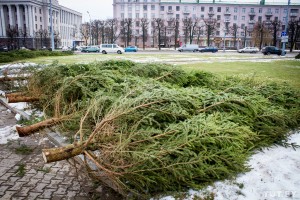 На заметку запорожцам: что делать с елкой после Нового года