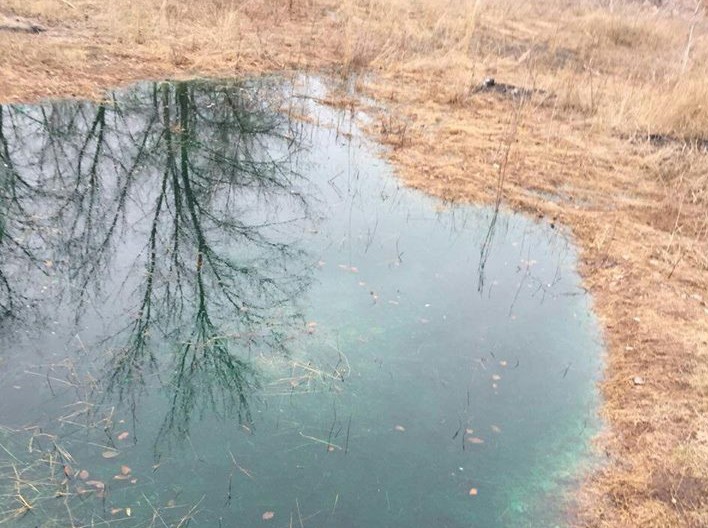 27654566_1573297726081666_6116725505471728668_n