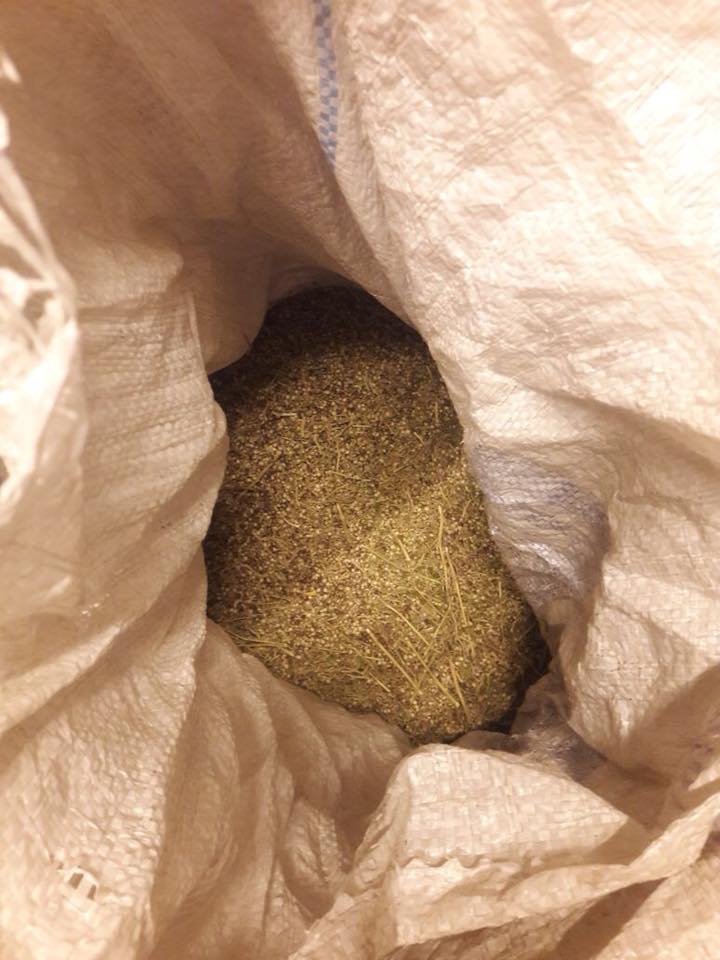 27654813_1829754677098048_4122433091686635857_n