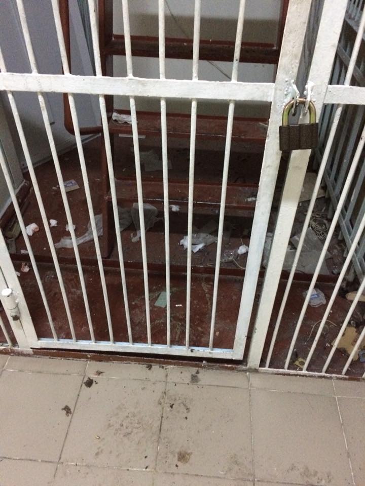 27657713_1891264220944282_5048240454004726156_n