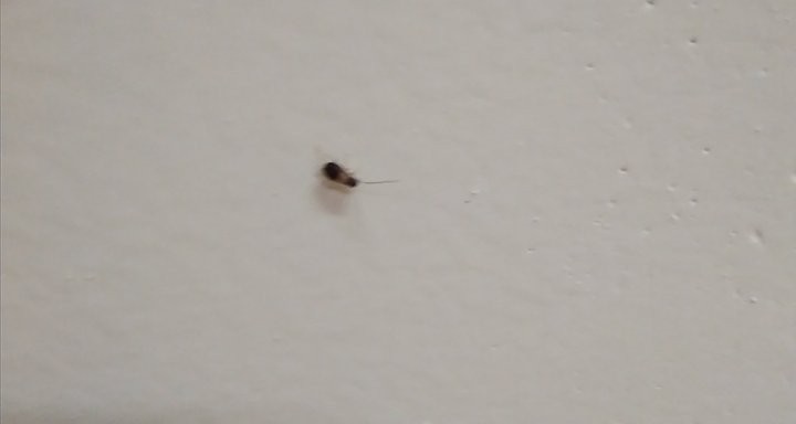 28308877_150142512463762_113551036_n