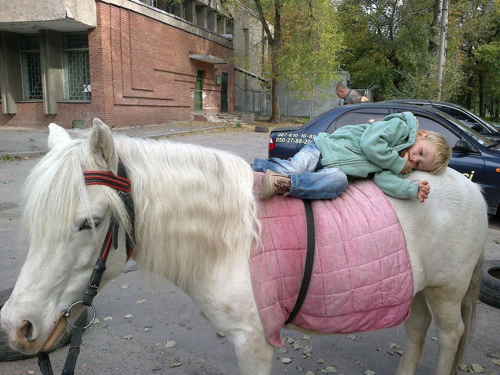 Запорожцев просят поддержать петицию о сохранении в «Дубовке» конюшни для детей