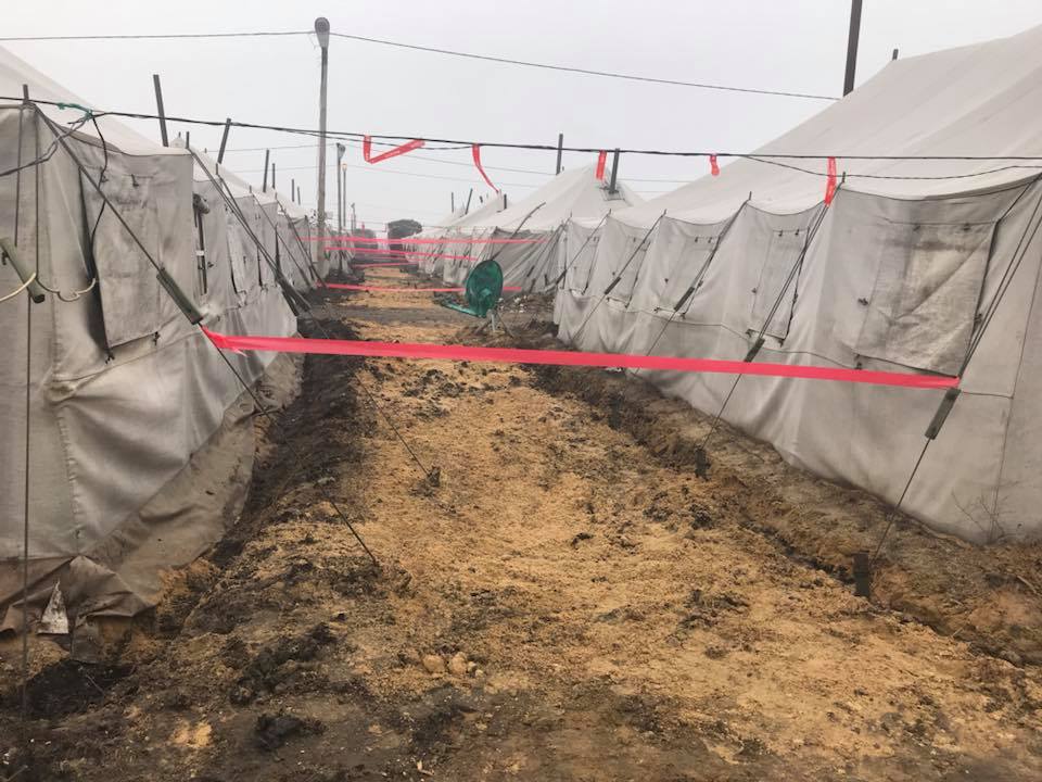 29066680_174541909837959_3363288279089279686_n