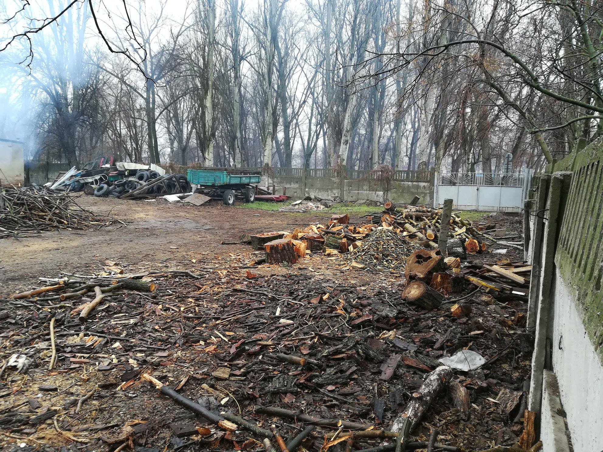 29217122_656510518013346_2856129925872615424_o