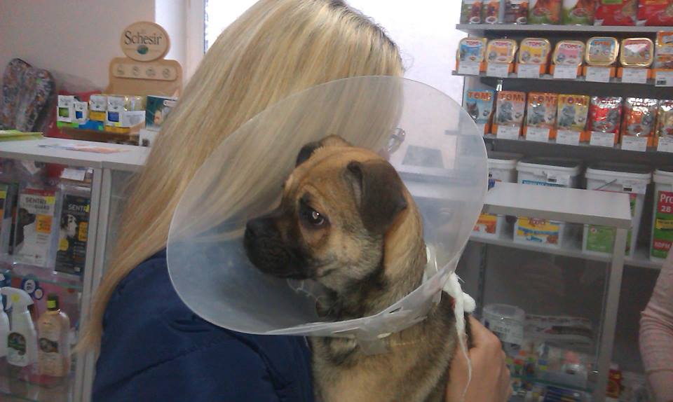 30742282_228552241031604_3637711057738268672_n