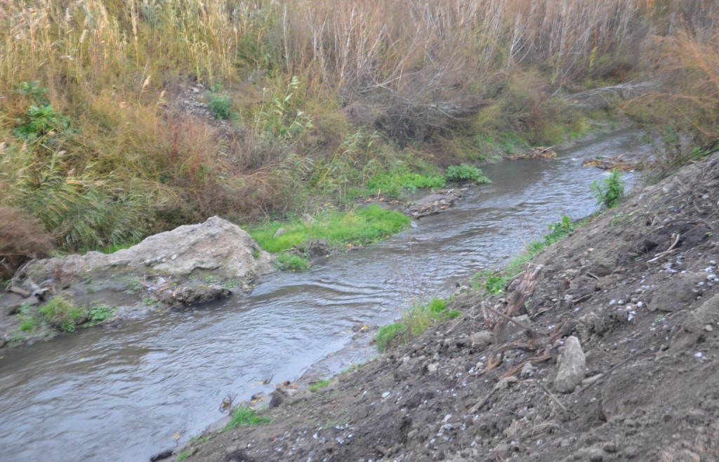 В Запорожье снимут 3 миллиона с расчистки малых рек в пользу Ландшафтного парка и «Дубовки»