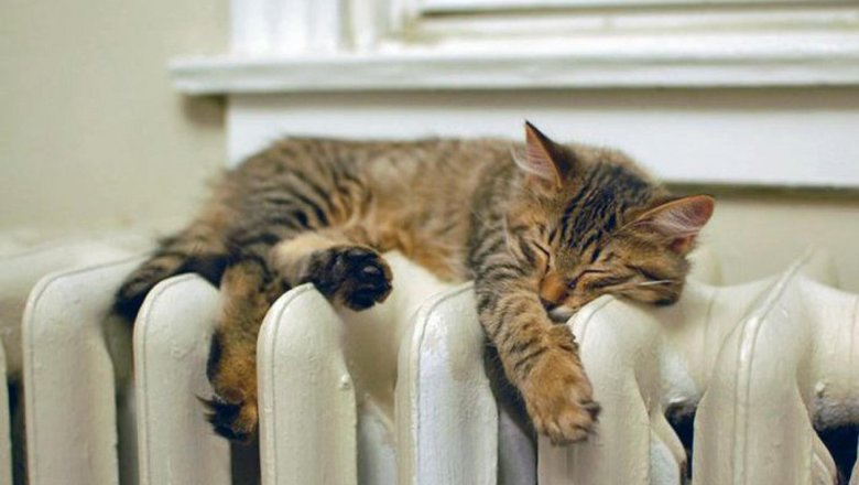 6beeb1d4156744a3062de6721bcef82f