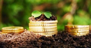 В Запорожской области остановился рост сборов налогов на землю