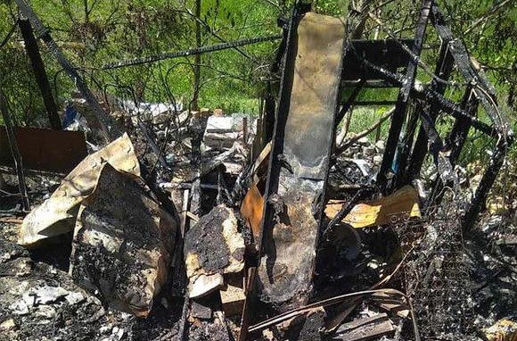 31901752_606979159654232_2316468818433540096_n