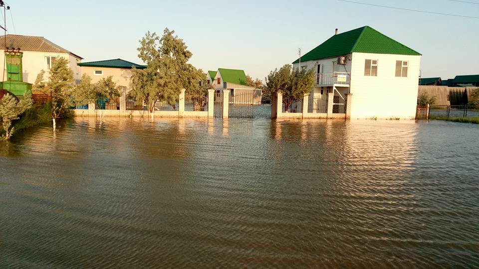 33584495_2537328156492433_6051408366566113280_n