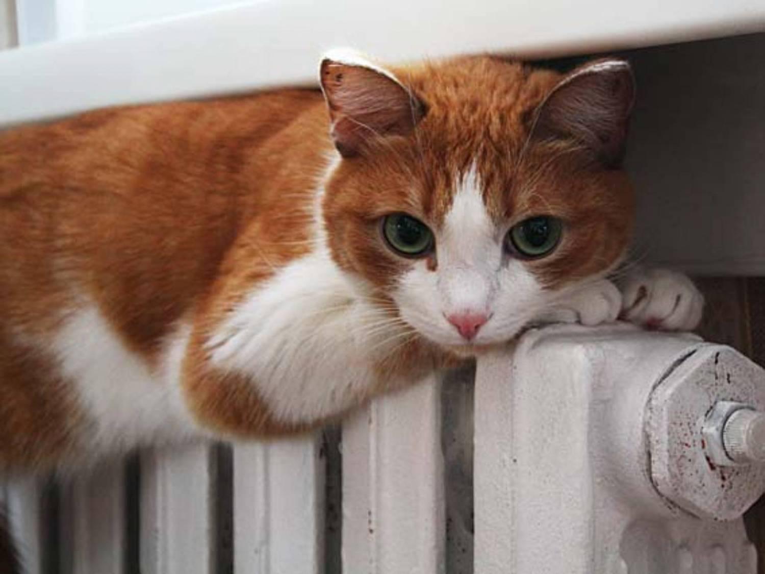 67249197.a80e505f3a37c0437e8efbda95ece4f31527