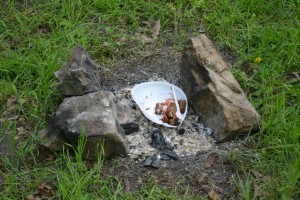 В запорожской “Дубовой роще” жгут костры, несмотря на запрет (ФОТО)