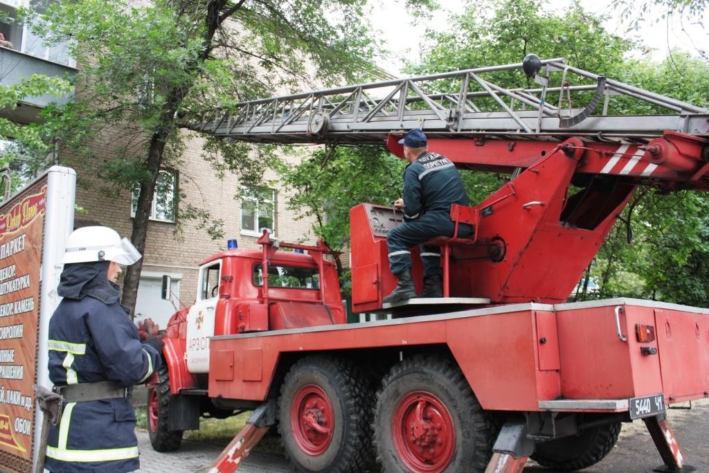 В Запорожье пожарные спасли кота, три дня просидевшего на дереве (ФОТО)