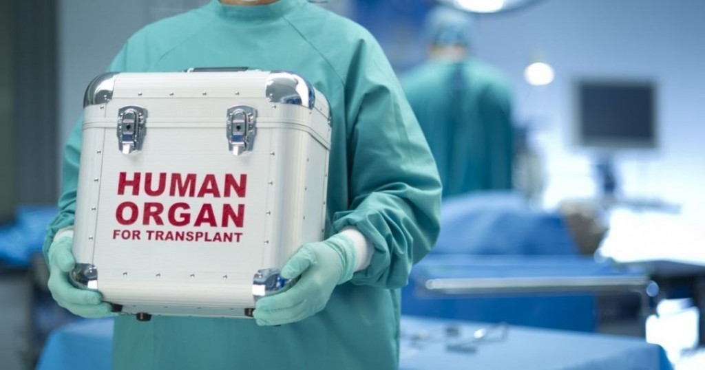 На заметку запорожцам: что подразумевает новый закон о трансплантации
