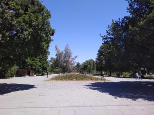 В Запорожье депутаты не приняли мораторий на застройку зеленых зон