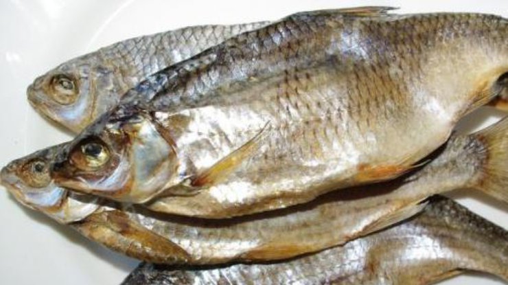 foto-iz-otkrytyh-istochnikov_rect_f99e5d6e20106ee7437796bde48f9149