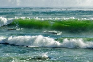 На еще одном запорожском курорте появится шлагбаум: сколько стоит пропуск