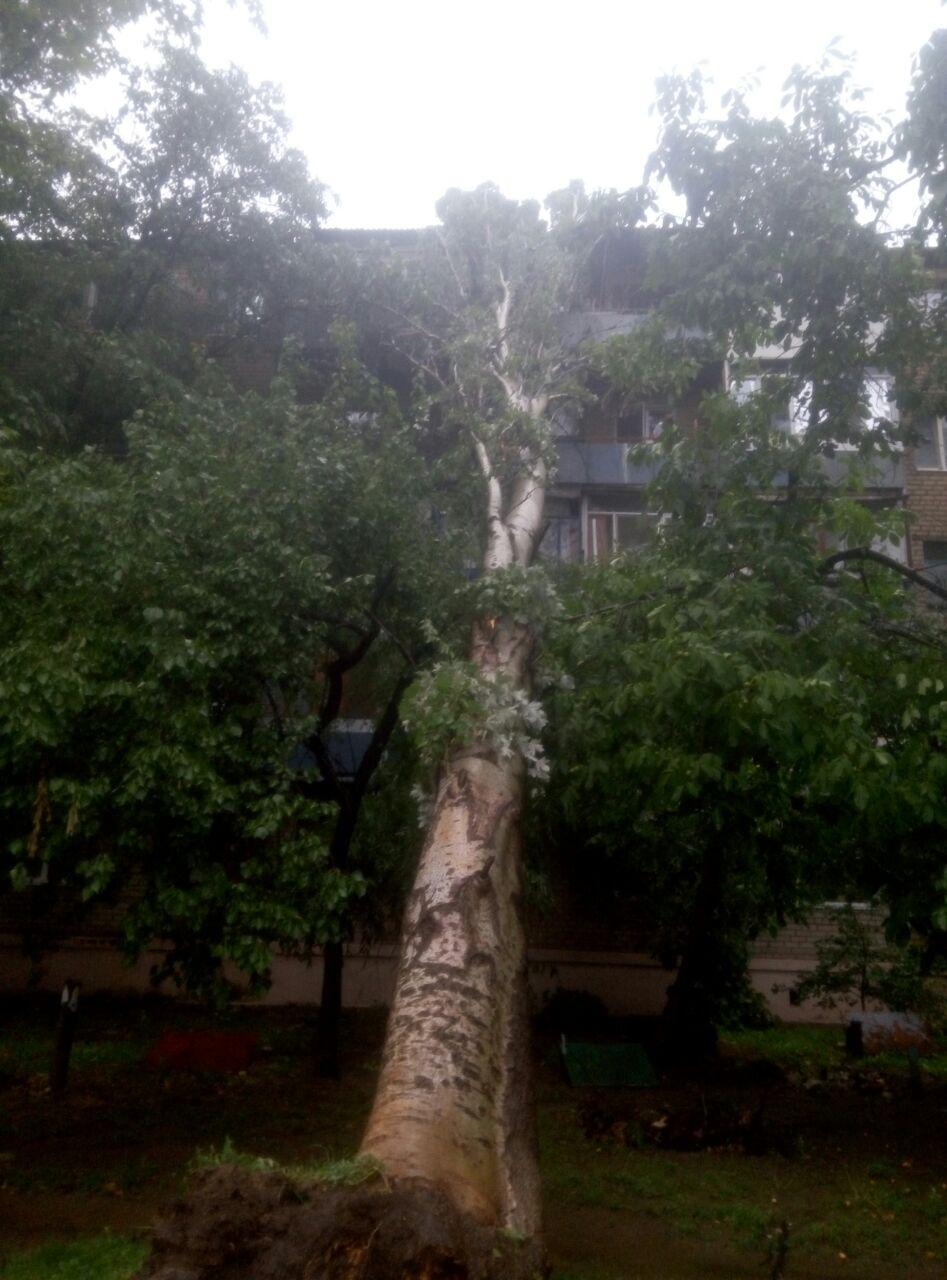 photo_2018-07-25_17-50-49 (1)