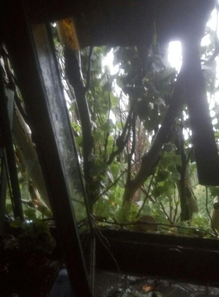 photo_2018-07-25_17-51-06-758x1024