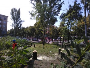 Апелляционный суд вынес решение о законности вырубки деревьев в сквере Яланского