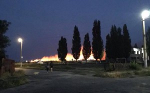 Экологическая катастрофа в Бердянске (ФОТО, ВИДЕО)