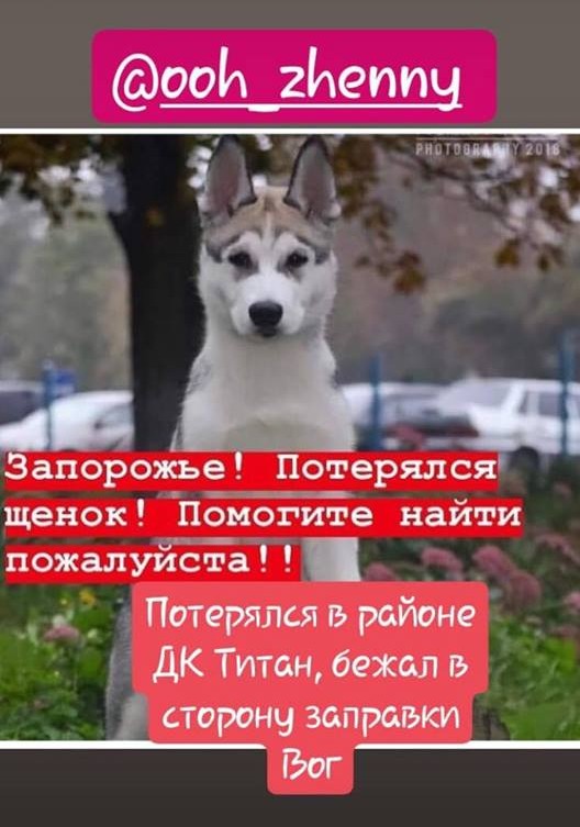 44699261_333321080578305_5919776939022745600_n