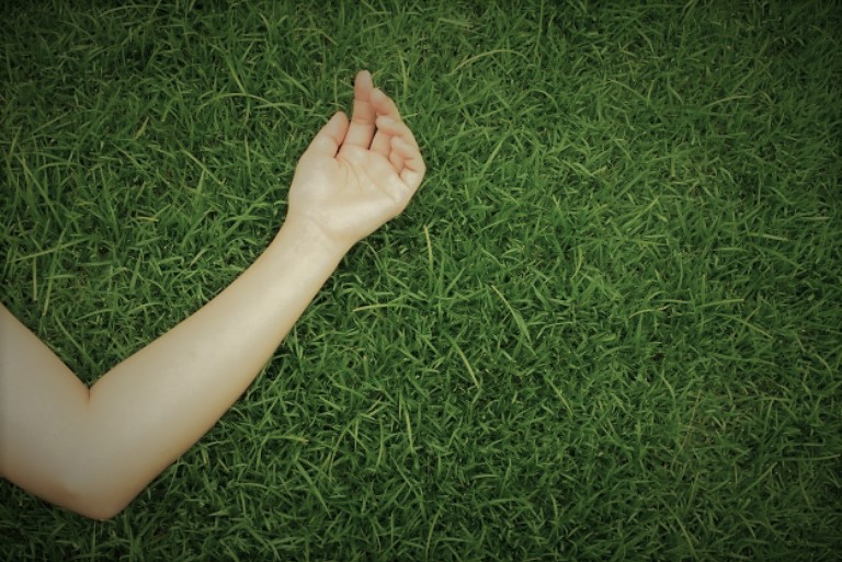 no-translate-detected_1232-214