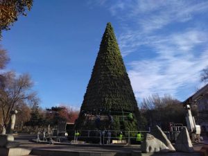ФОТОФАКТ: в центре Запорожья установили городскую елку