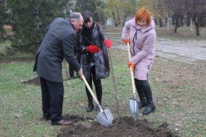В Запорожье компания-застройщик жилищного комплекса «Comfort City» высадила 50 акаций