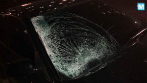 Сбил пешехода и пытался скрыться: подробности смертельного ДТП в Запорожской области (ФОТО)