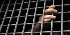 17 ударов по голове: в Запорожской области внучка жестоко убила свою бабушку