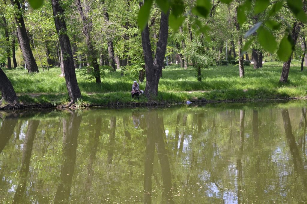 Озеленение, ботанический сад и расчистка рек: на что в Запорожье потратят средства экофонда в 2019 году