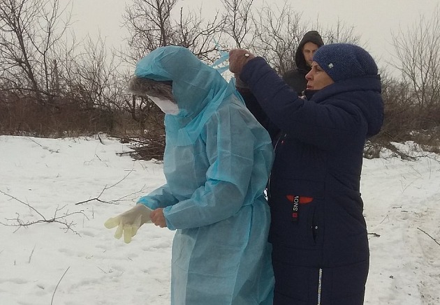 В Запорожской области у напавшего на людей волка подозревают бешенство (ФОТО)