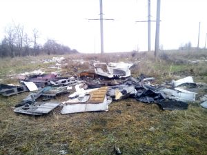 В Запорожье территория лесничества превратилась в зону экологического бедствия (ФОТО)