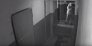 В Мелитополе объявился похититель ковровых дорожек (ВИДЕО)