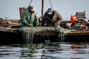 “Игра престолов” на Азове: как в Запорожской области идет война за контроль над браконьерами (ВИДЕО)