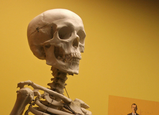В Запорожской области были найдены человеческие кости