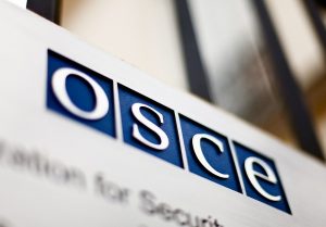 В Запорожской области следить за выборами будут две команды ОБСЕ
